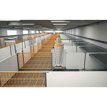 Corrales para cerdos destetados y de engorde