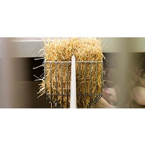 Accesorios para cerdas, destetados y cerdos en fase de acabado