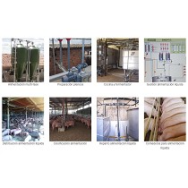 Sistemas de alimentacin de pienso