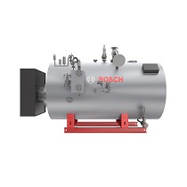 Caldera de vapor elctrica