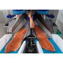 Fileteadora para salmn