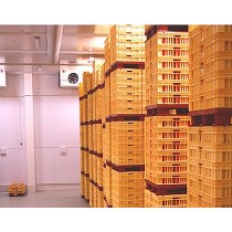 Secaderos para quesos