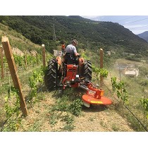 Discos desbrozadores