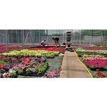 Placas de PVC biorientado