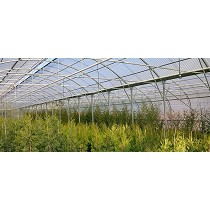 Placas de PVC biorientado