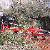 Rastrillos hileradores