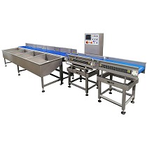 Pesadoras clasificadoras