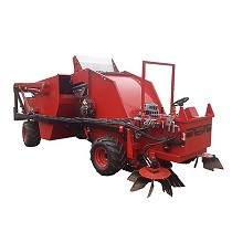 Recolectoras de nueces y avellanas