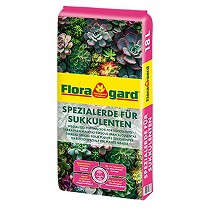 Substratos especiales para suculentas