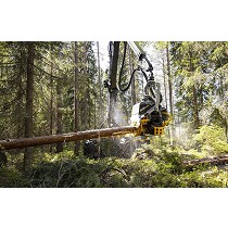 Procesadoras de madera