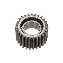 Engranajes de cardilla