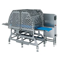 Loncheadoras de salmn