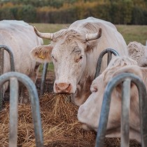 Suministros e instalaciones de materiales