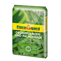 Substratos especiales para palmeras y plantas verdes