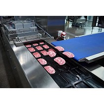 Cintas transportadoras