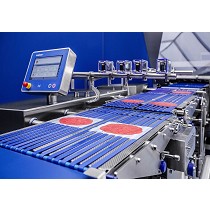 Bases de papel o film