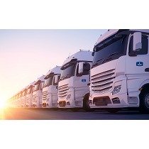 Alquileres de veh�culos de corta, media y larga duraci�n