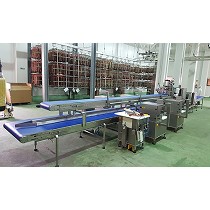 Lineas descortezadoras 2 caras con prensa y extractor