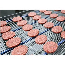 Servicios de Ingenier�as a Medida