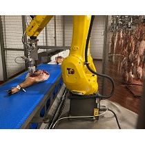 Robots para la medida de pH en canales y jamones