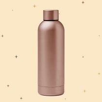 Termos de acero inoxidable de 550ml