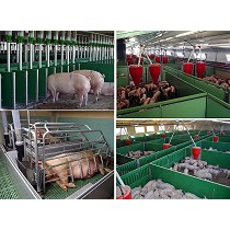 Instalaciones porcinas