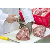 Instrumento medidor de pH