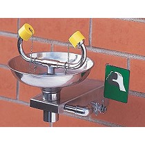 Lavaojos mural con recogedor