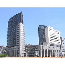 Panel composite