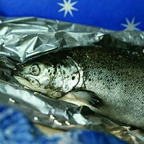 Ionizaciones de alimentos