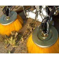 Cepillos mechonados en base pl�stica