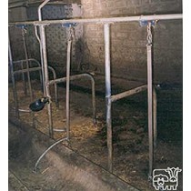 Amarres para terneros