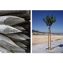 Comercial Projar, S.A. (Projar Group) - Escaparate (reseñas de