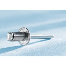 Remaches de clavo estndar y especiales