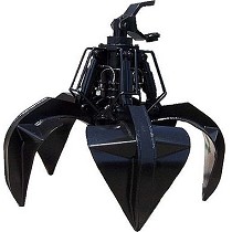 Pulpos con ptalos cerrados o abiertos para roca