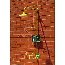 Duchas lavaojos de emergencia