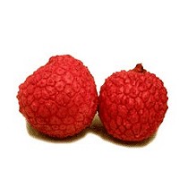 Litchi