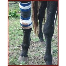 Cintas adhesivas para animales