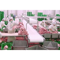 Cintas transportadoras