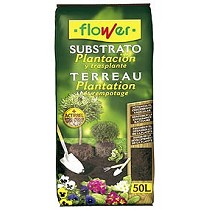 Sustrato plantacin y trasplante