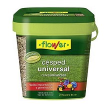 Semillas para plantar csped