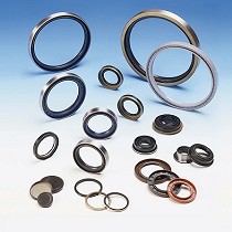 Retenes en versin simple labio o doble labio