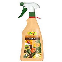 Insecticida natural