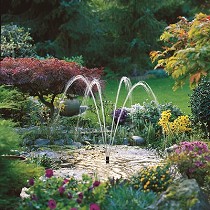 Productos para estanques