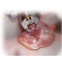 Cizalla para hueso coxal de jamones