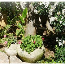 L�nea de goteo Jardi Click Tif 