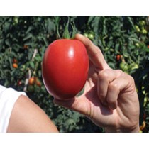 Semillas deTomate Pera