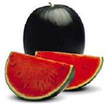 Semillas de Sanda negra (con semilla)