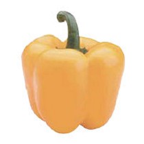 Semillas de pimiento california amarrillo