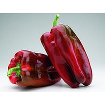 Semillas de pimiento lamuyo rojo